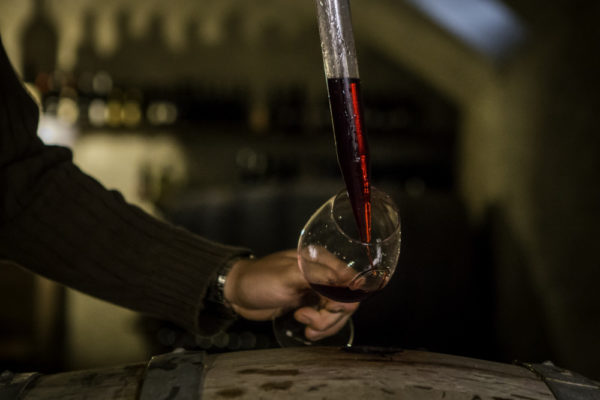 Il vino del balmetto dell'azienda agricola terre sparse di Chiaverano che viene versato in un calice